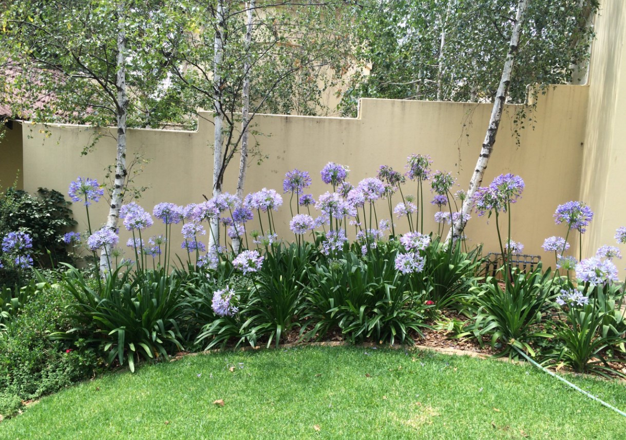 Gazebo Parts Direct Sales Store -Garden Supplies Sales 2024 Dingtalk 20240612143601